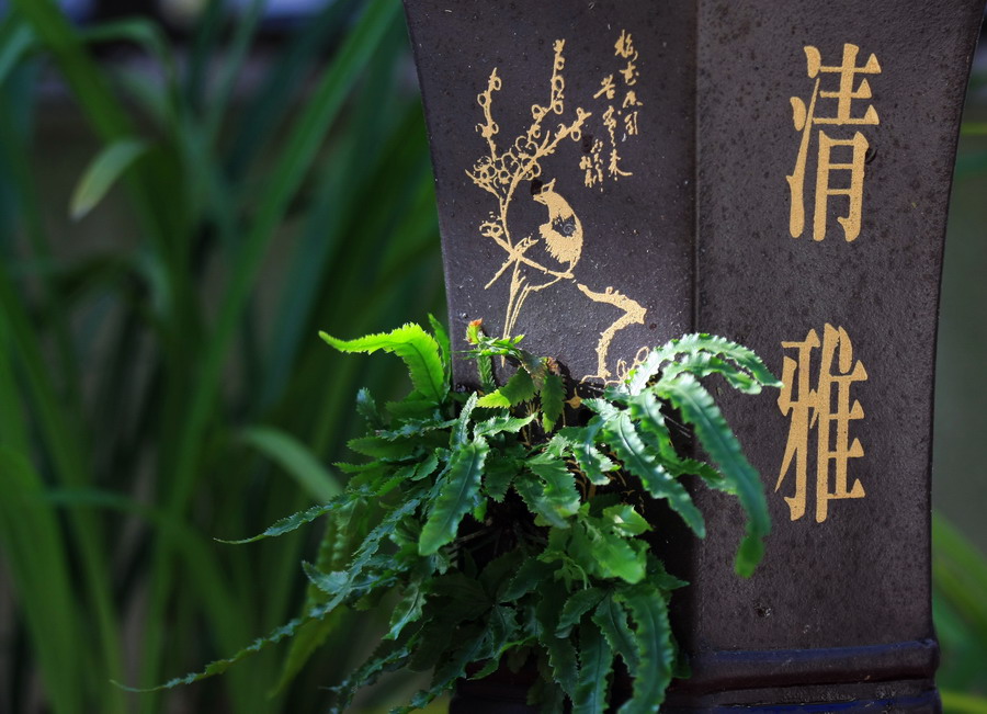 1_缩小大小.jpg