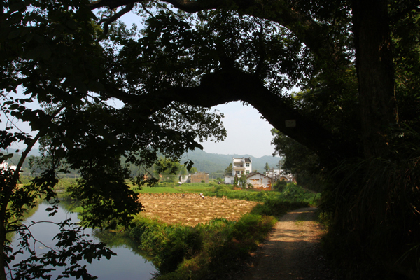 复件 img_0663.jpg