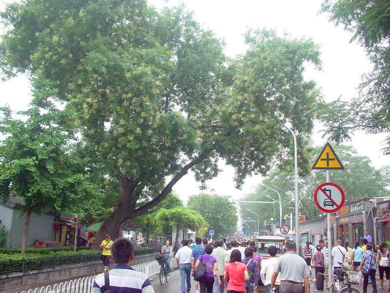 DSC00935.JPG