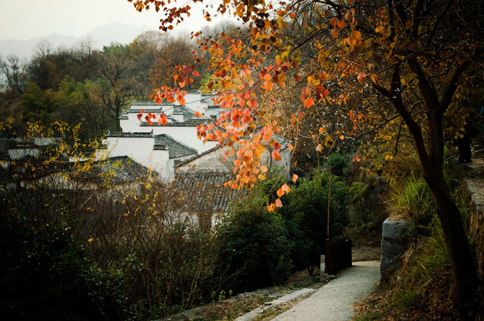 DSC_7148.jpg