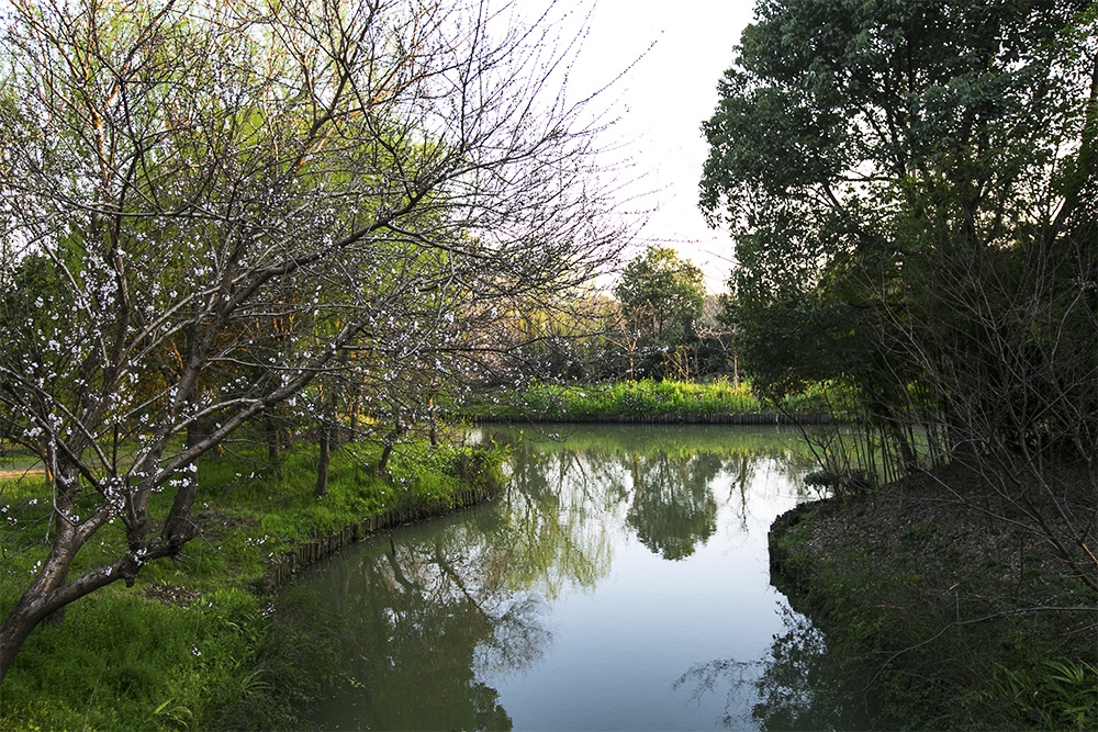 “D31A4271”为智能对象-1.jpg