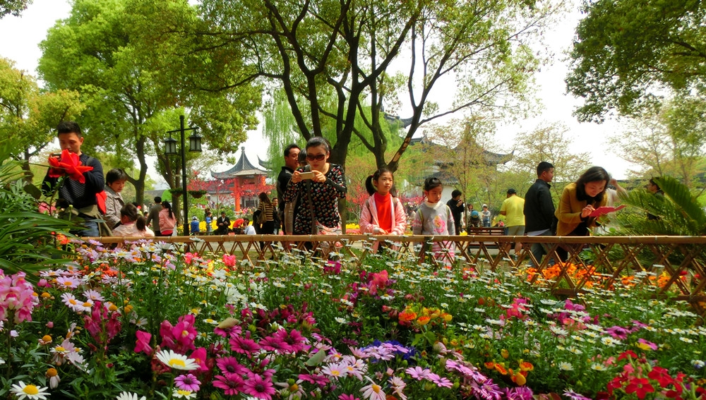 分享美景.jpg