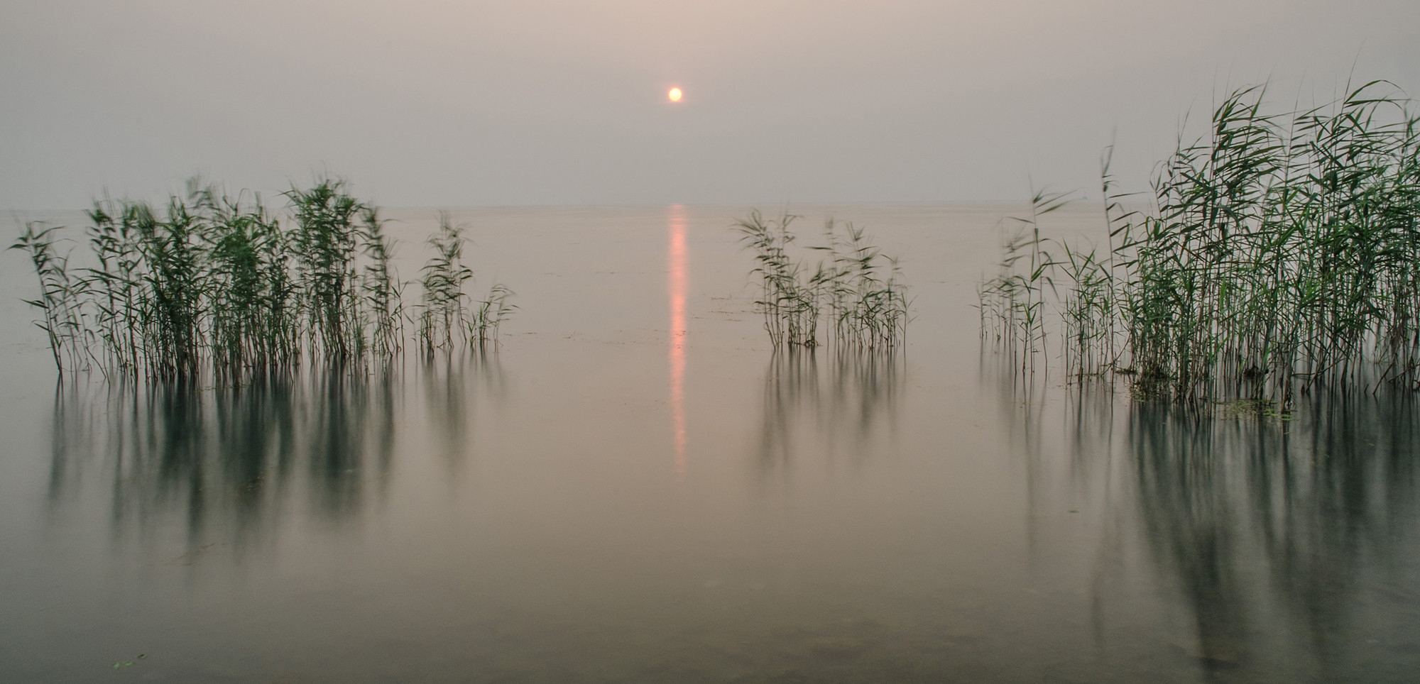 20140605-_DSC6280_副本.jpg 20140605-_DSC6280_副本.jpg