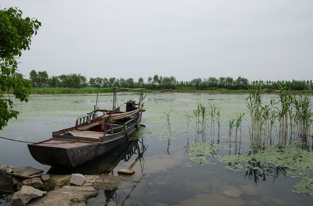 20140603-_DSC6082_副本.jpg 20140603-_DSC6082_副本.jpg
