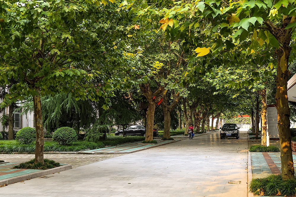 【身边的风景】“IMG_2440”为智能对象-1--1.jpg