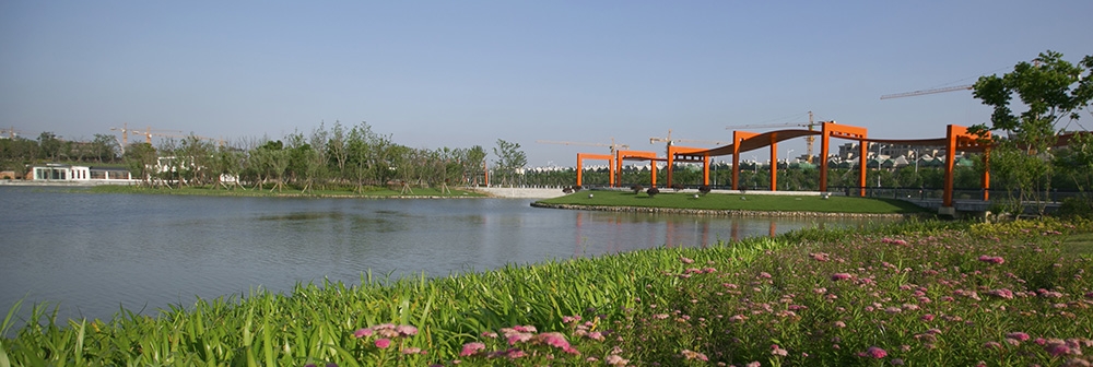 芦荡湖春色.jpg