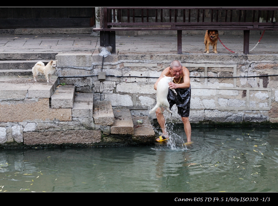 IMG_5586_副本.jpg