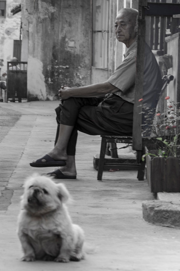 “_DSC5286”为智能对象-1.jpg “_DSC5286”为智能对象-1.jpg