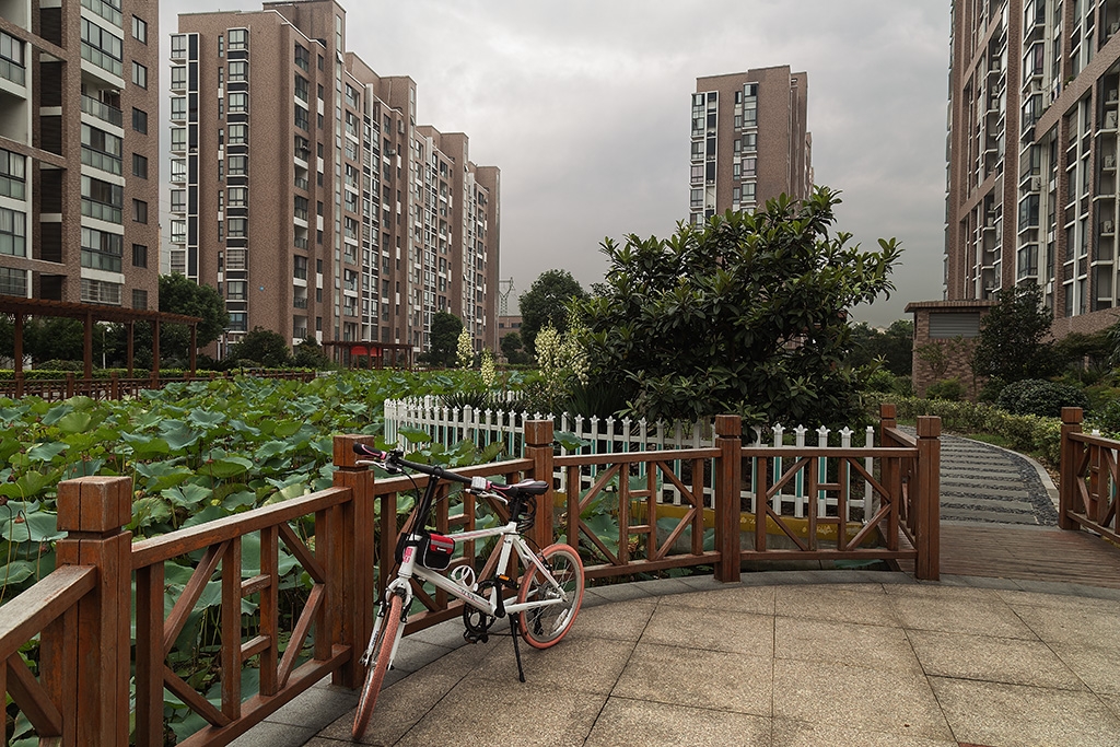 秋荷“IMG_4541”为智能对象-1---1.jpg
