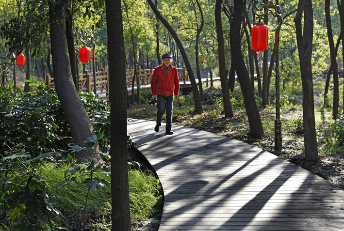 天池林荫道.jpg
