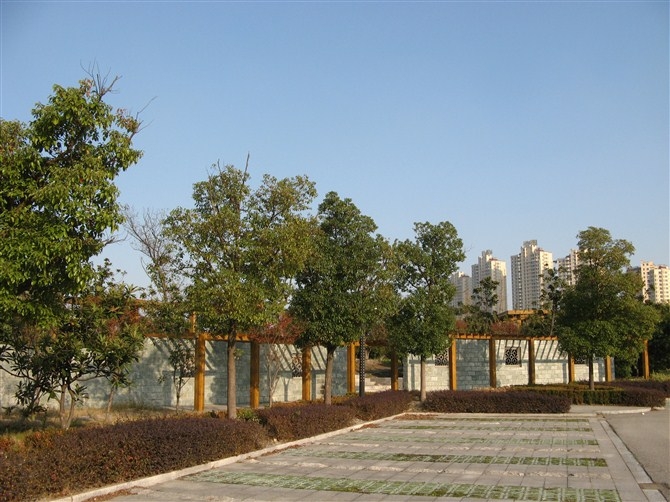 psb (3).jpg