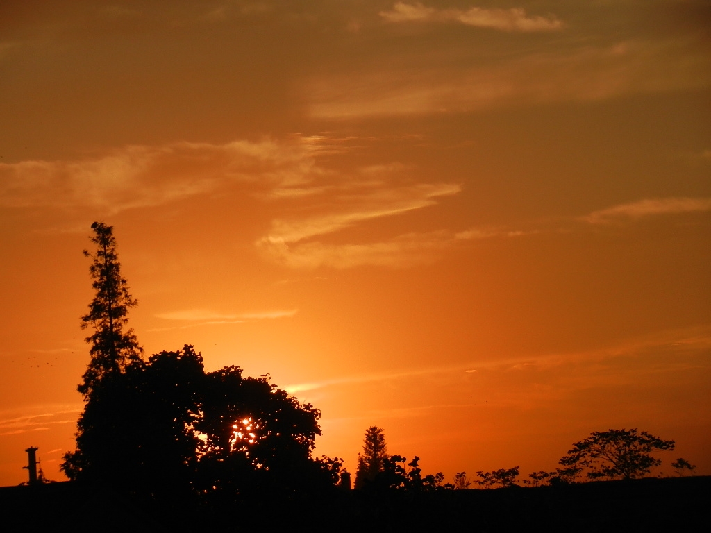DSCN3374.JPG