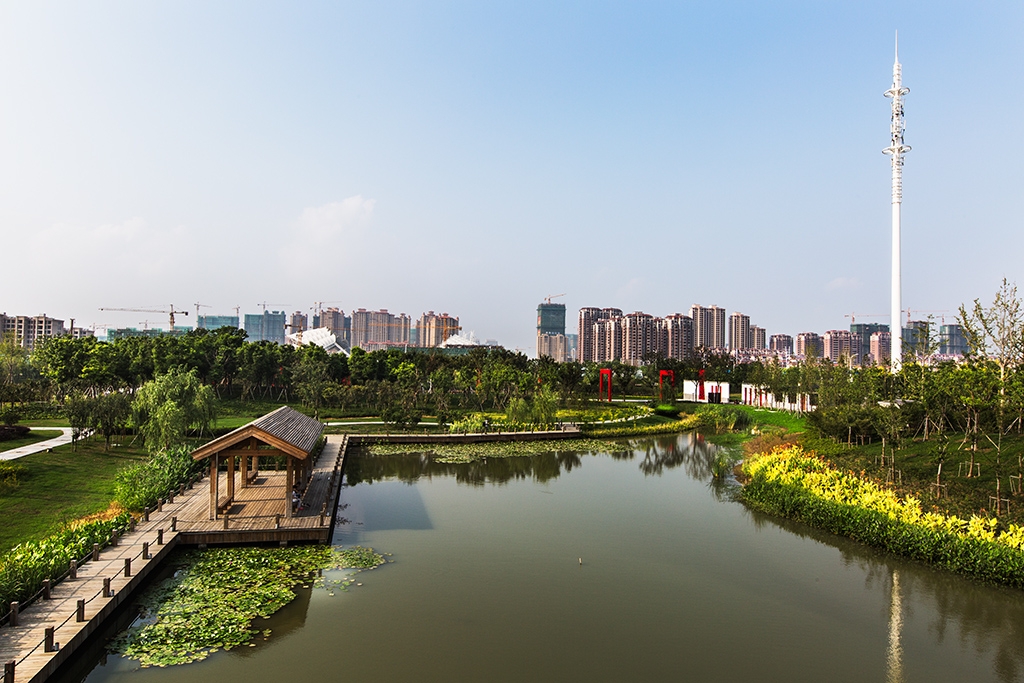 “吴江芦荡湿地公园20140903风光6565”为智能对象-1 拷贝.jpg