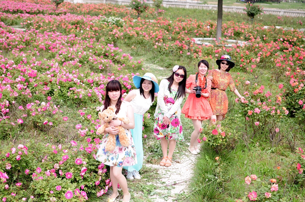 DSC_4991_副本.jpg