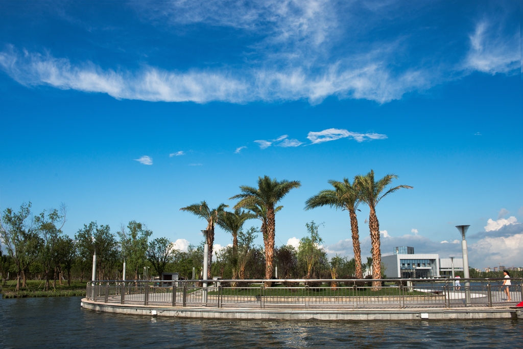 DSC9572小.jpg