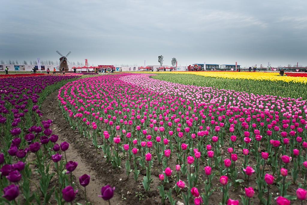 DSC_1757小.jpg