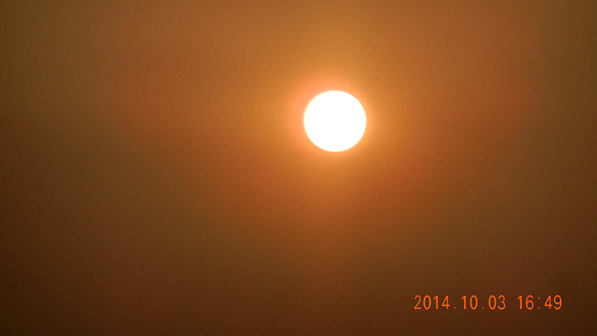 DSCN3661.JPG