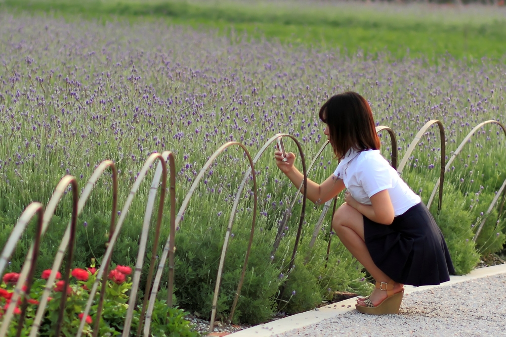 美丽花园.jpg