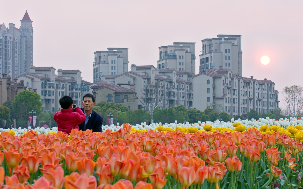 IMG_1527(乐居).jpg
