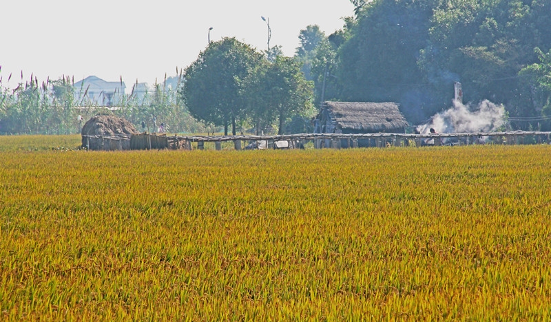 IMG_5183副本_副本.jpg