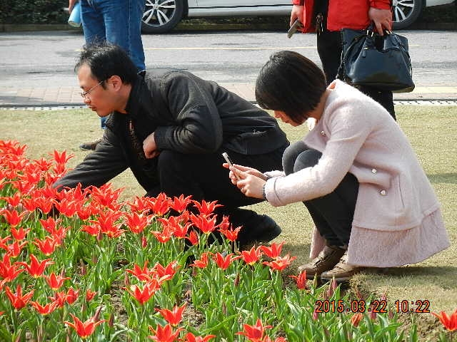 DSCN6692.JPG