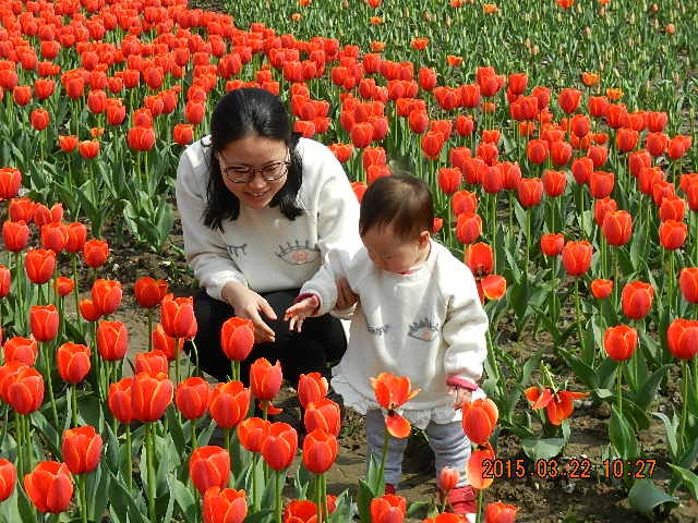 DSCN6702.JPG