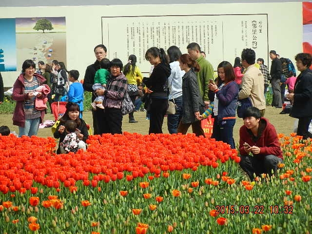 DSCN6710.JPG