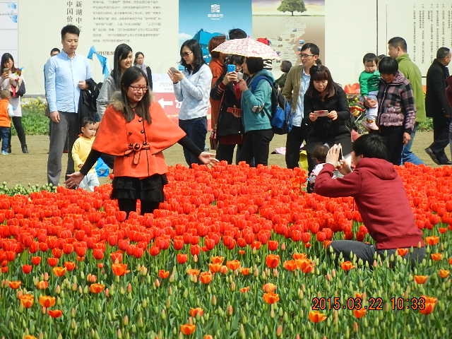 DSCN6711.JPG