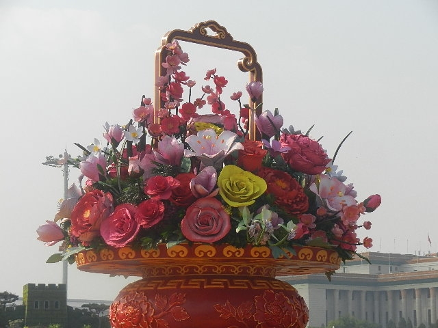 DSCN9736.JPG DSCN9736.JPG