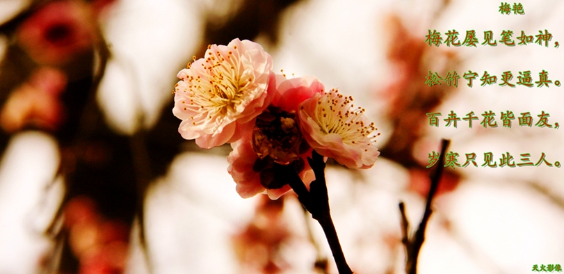_MG_6042.JPG