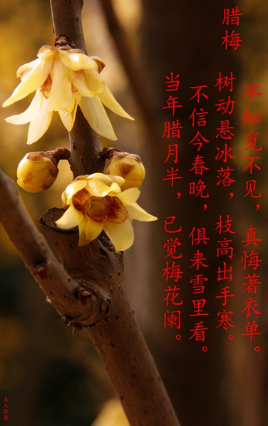 _MG_6118.JPG