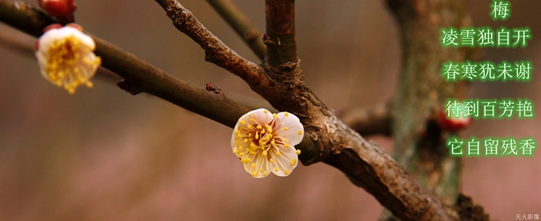 _MG_6164.JPG