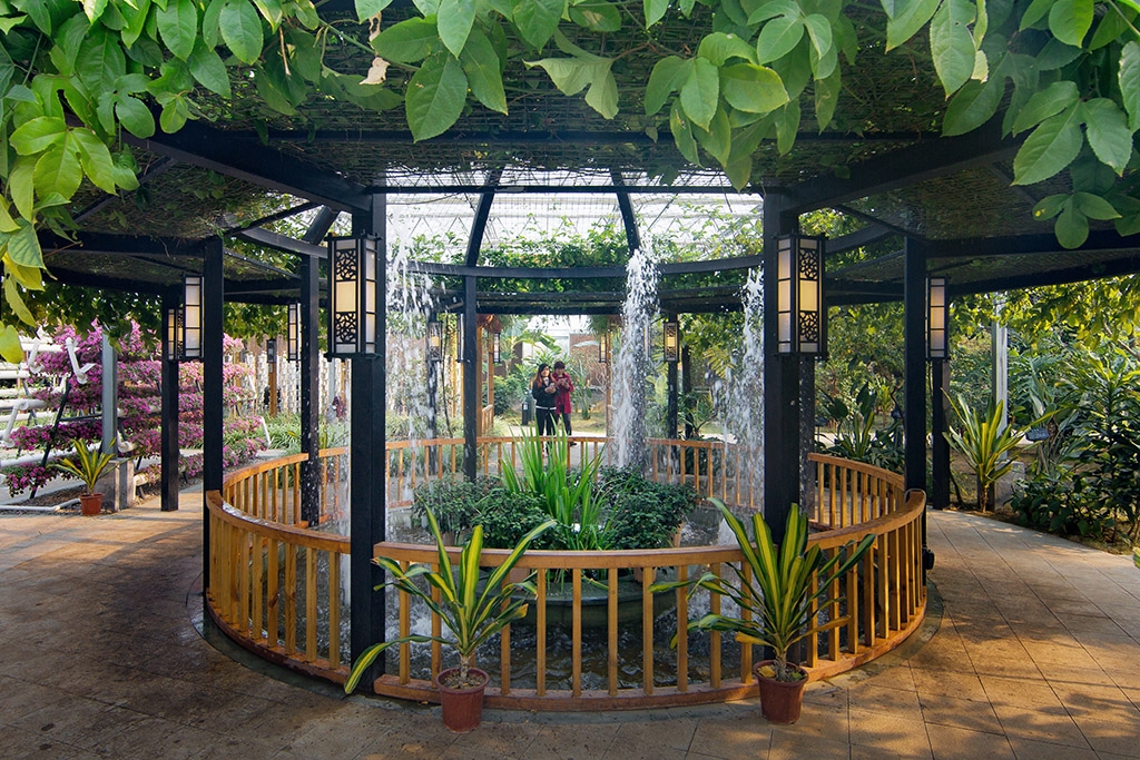 Y8A1070开心村植物园-1.jpg