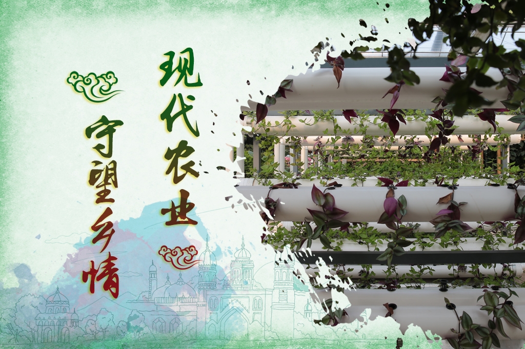 现代农业.jpg