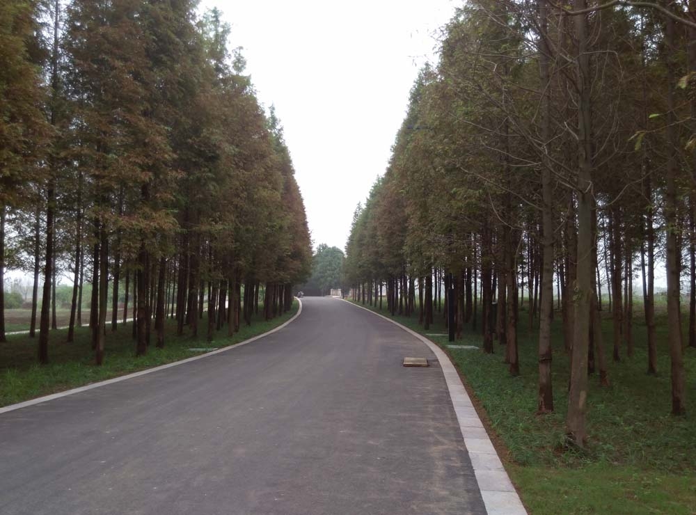 远方在召唤