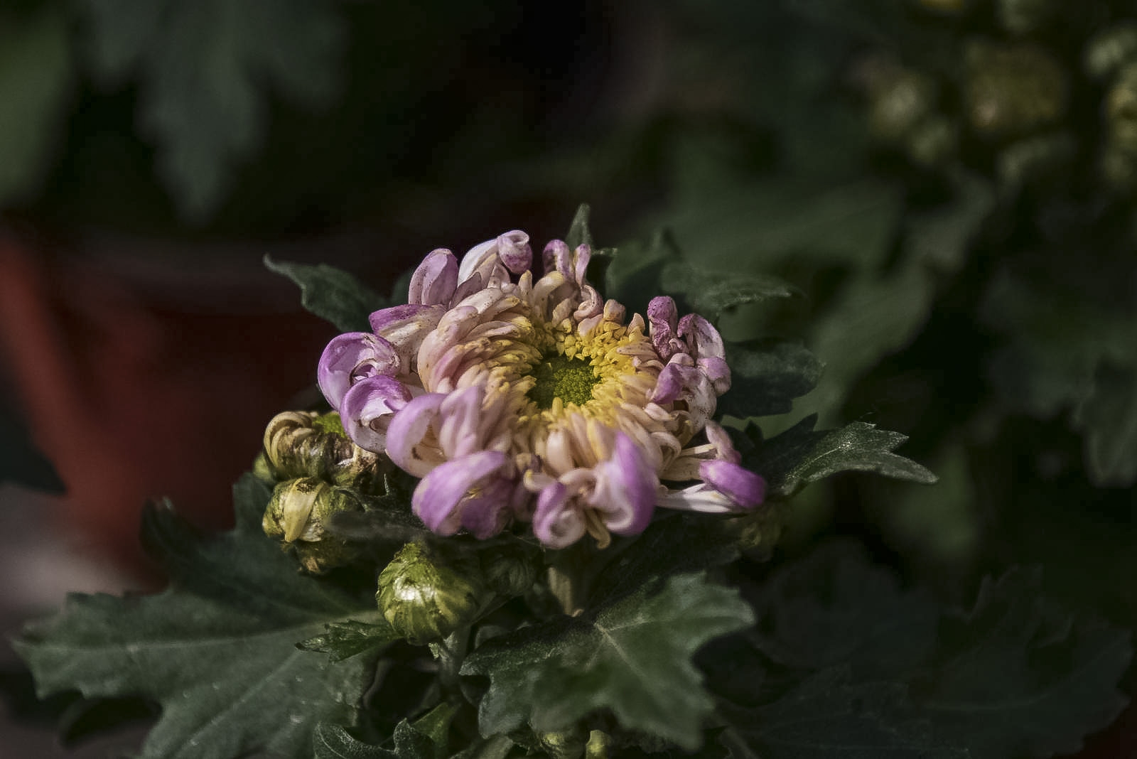 108_7253.jpg