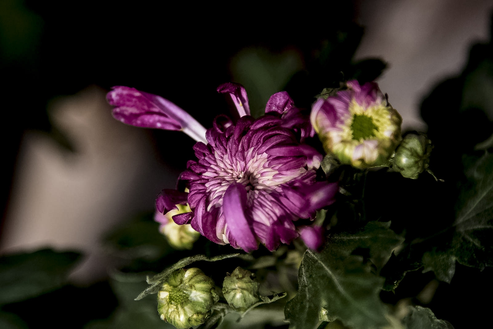 108_7255.jpg