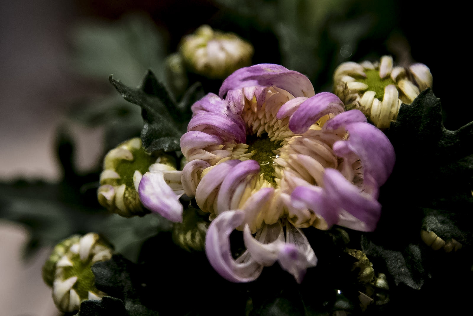 108_7260.jpg