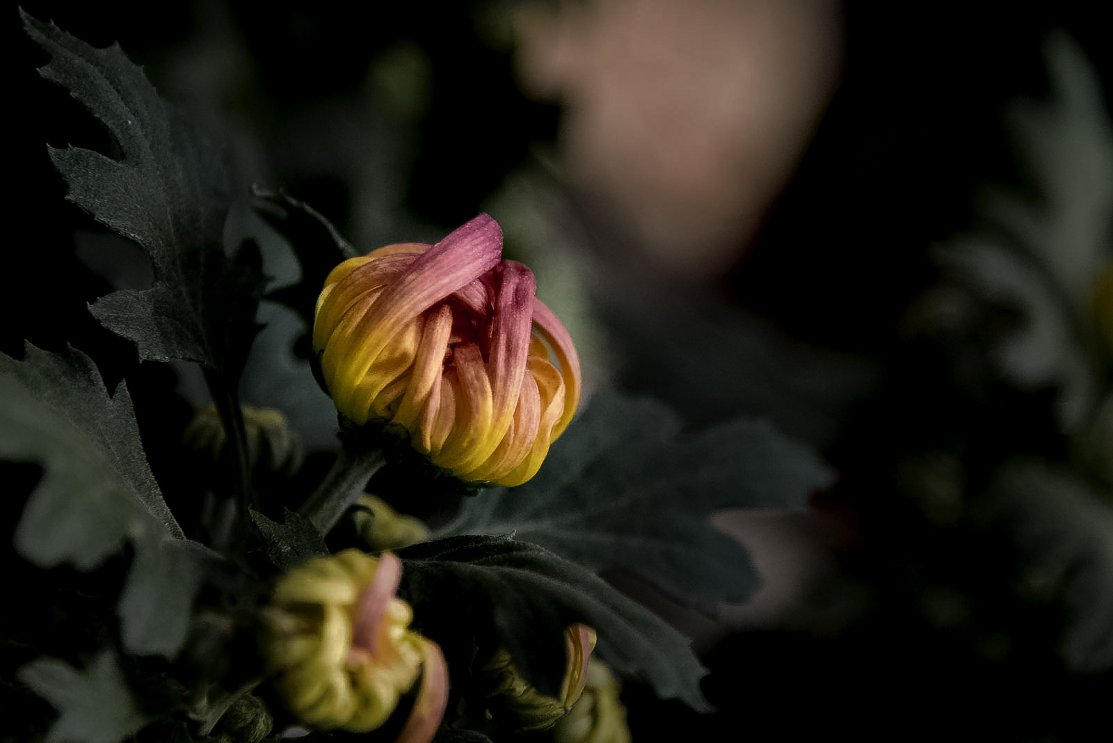 108_7261.jpg