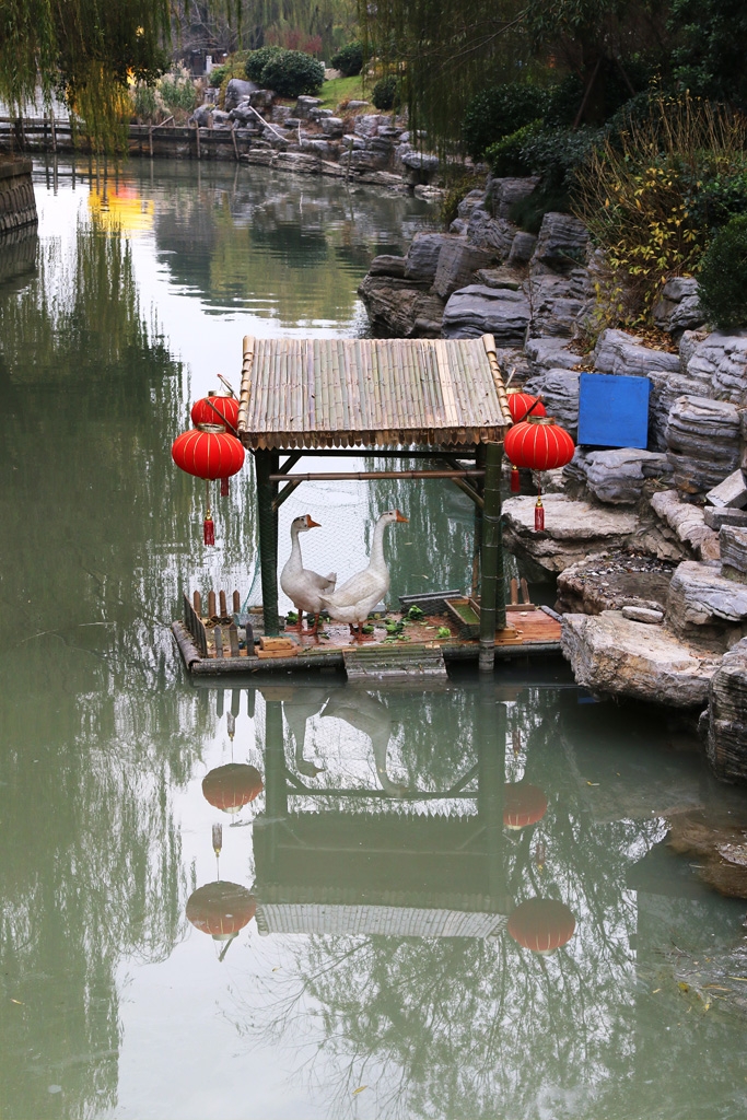 雅居.jpg