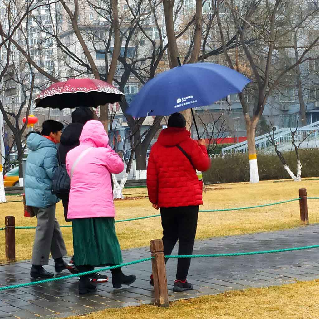 北京明城墙万树寒色一梅开0.jpg