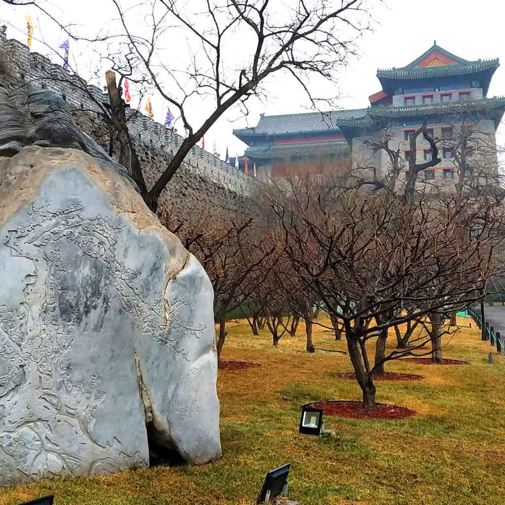 北京明城墙万树寒色一梅开1.jpg
